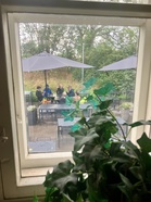Sateessa aloitettiin ja pian se kirkastui. Gardenia-kohusta ja muista kokemuksista otettava oppia. Hyvä tapa toimia pitäisi silti osata jo etukäteen. Entä pystytäänkö suojaosapäätöksiä korjaamaan - Satosen ajatuksessa määräaikaisuudesta on valon pilkahdus.